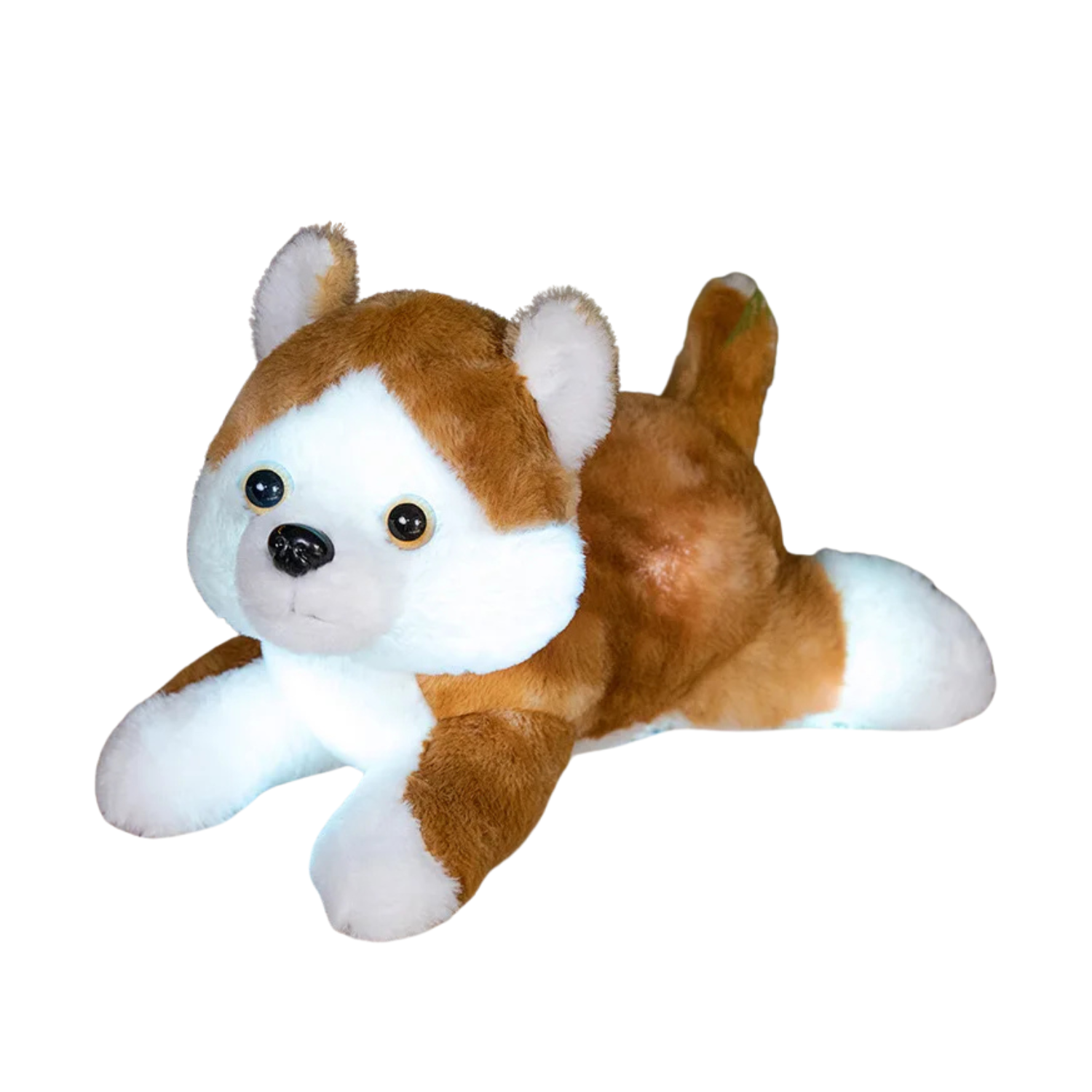 Peluche Veilleuse Chiot, Assis et Couché